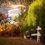 Disfruta de la naturaleza en Asturias en el puente de todos los santos Disfruta de la naturaleza en el puente de todos los santos
